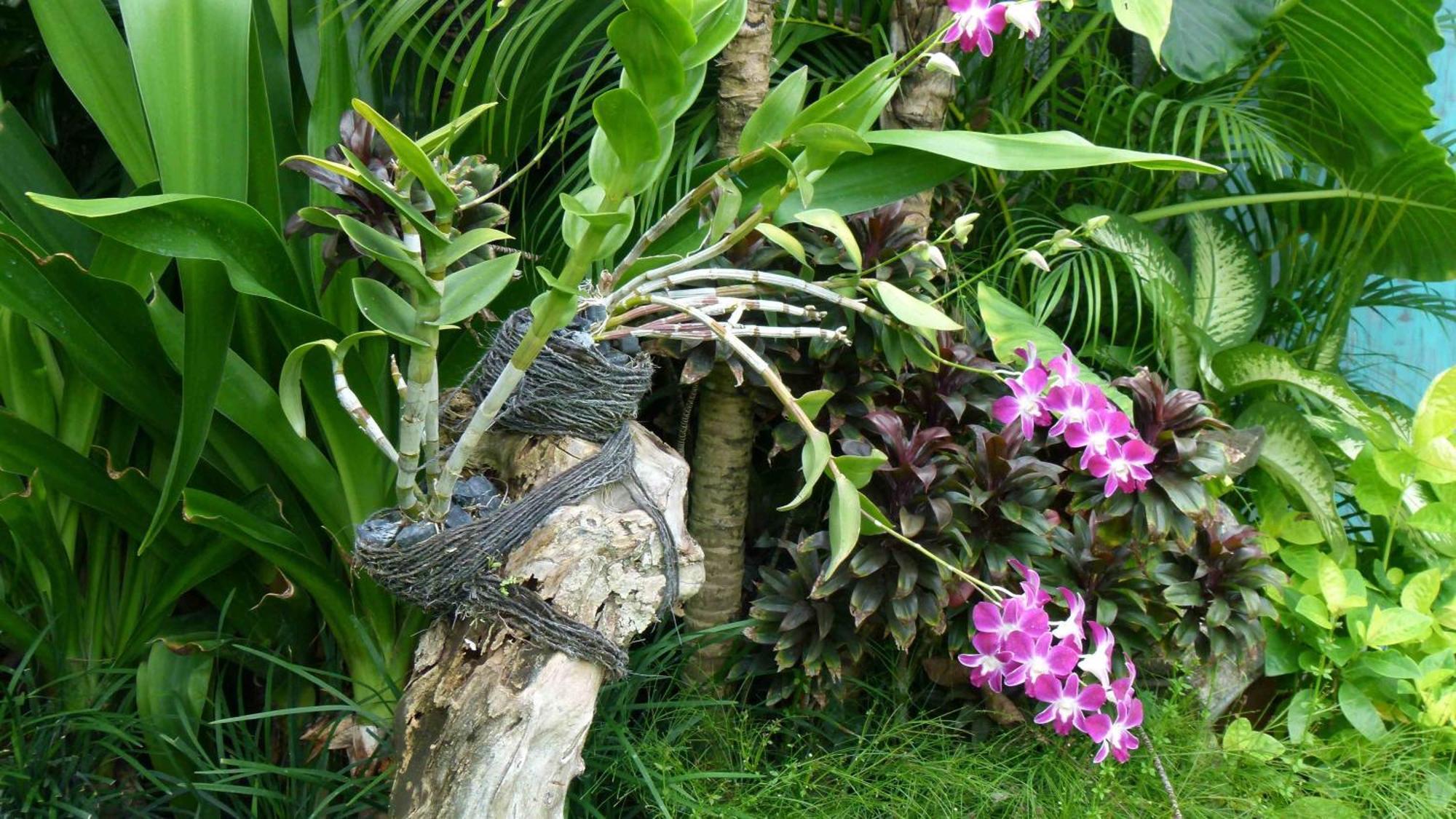 Hevea Villas Seminyak Zimmer foto